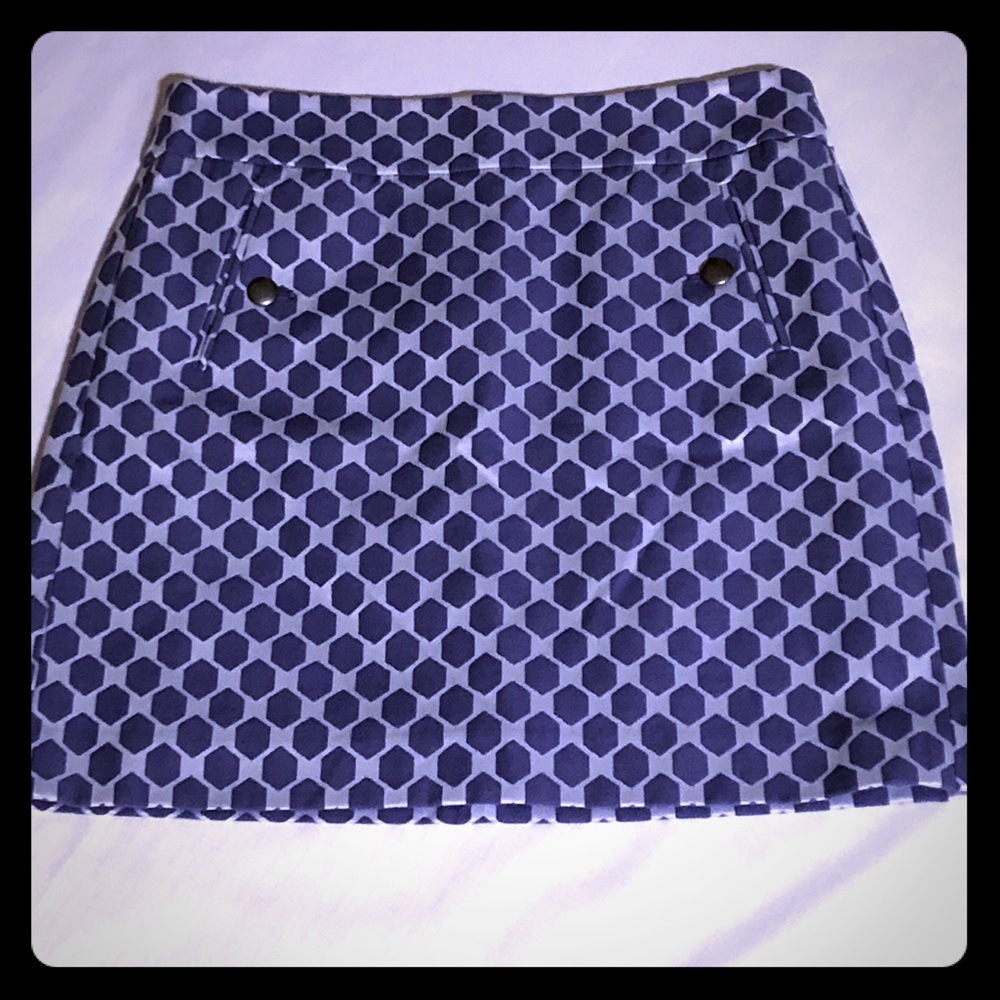 LOFT Skirt Size 4P NWOT
